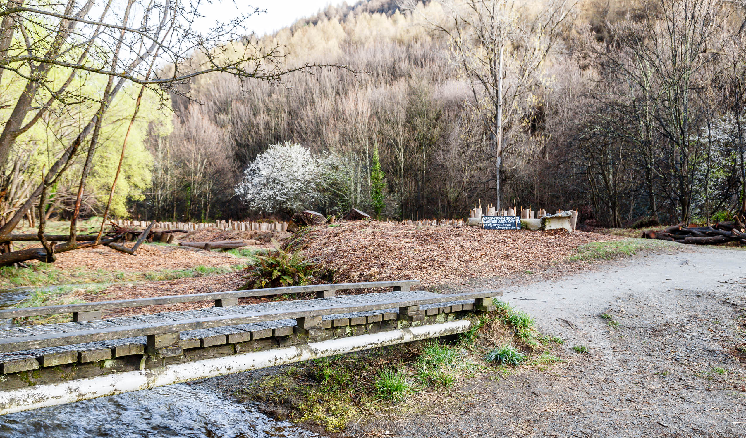 Cultivating Conservation: Arrowtown School Teams Up with Local Groups for Bush Creek Reserve Restoration